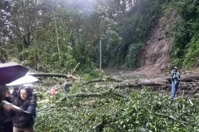 Por caida de árboles cierran la carretera federal 125 Coscomatepec-Huatusco