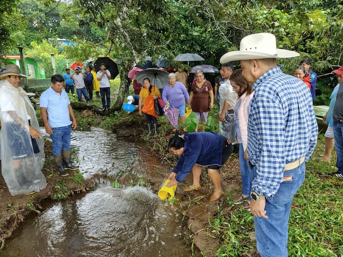 ‪Realizan segunda siembra en la comunidad de Ojoxapan, en Catemaco