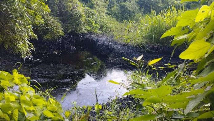 Sedarpa no cuenta con reporte de daños por derrame de hidrocarburo en Papantla