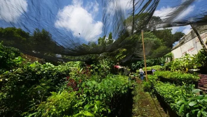 Interponen denuncias por presunta invasión de áreas naturales protegidas