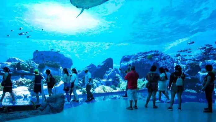 Sergio Rodríguez le entrega casi 139 millones de pesos a Arrendadora Constructo S.A de C.V por remodelación del acuario y se le caen las obras