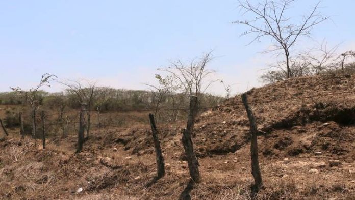 El 2024 es el cuarto año más seco desde 1981: Conagua