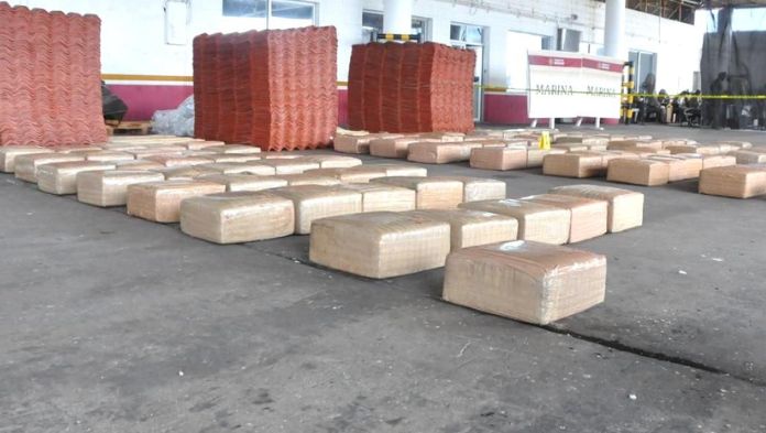 En coordinación, casi una tonelada de marihuana asegurada en puerto de Veracruz