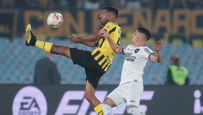 Final Copa Libertadores 2024 brasileña