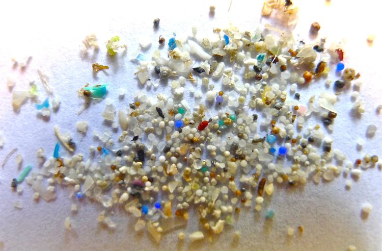 ¿Qué son los microplásticos y como nos afectan?