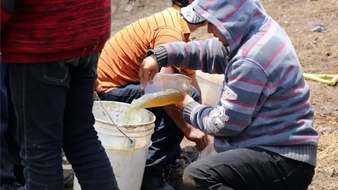 Detectan 114 tomas de huachicol en Veracruz durante nueve meses