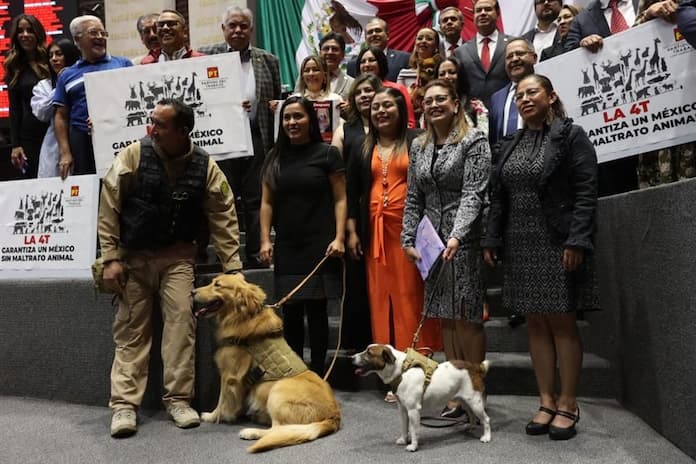 Diputados aprueban reforma contra el maltrato animal, pero olvidan a los toros