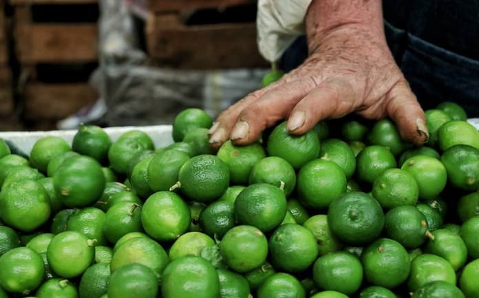 Guardia Nacional y Sedena frenan extorsiones a limoneros en Michoacán