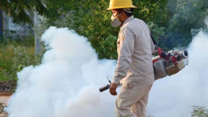 6 mil 850 casos de dengue en Veracruz; Platón Sánchez y Naolinco los más afectados