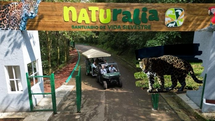 Con un costo de 95 mdp, inauguran el Parque Naturalia en Xalapa