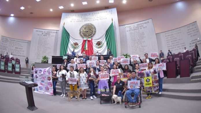 Congreso de Veracruz aprueba reforma federal que protege a los animales