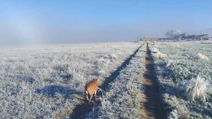 Veracruz, sin afectaciones tras temperaturas bajo cero, reporta PC