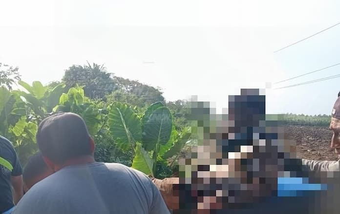 Campesino termina grave al recibir una descarga eléctrica