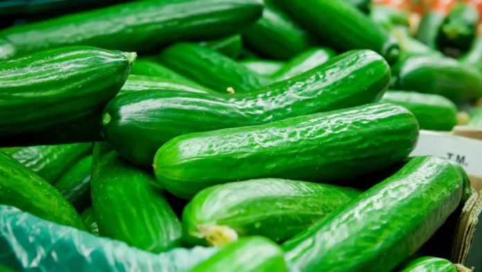 Más de 60 personas enfermas en EEUU: retiran pepino contaminados con salmonela provenientes de México