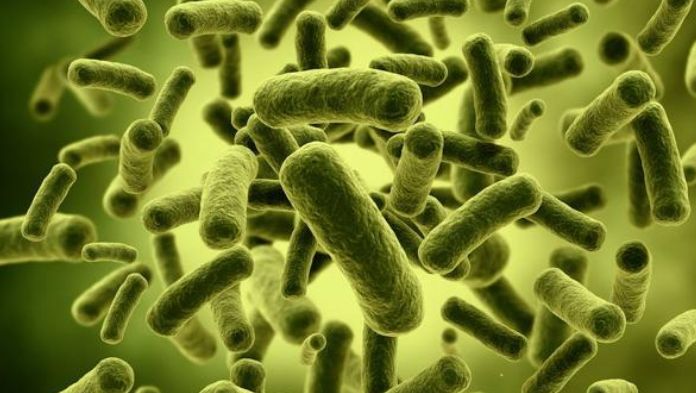 Reportan 13 niños muertos por posible contaminación de bacteria Klebsiella oxytoca en México