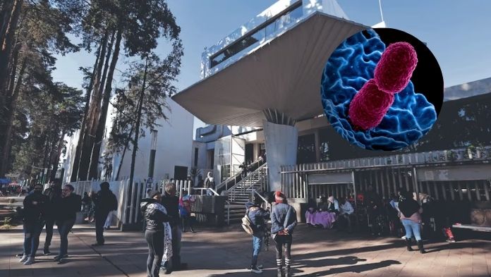 Secretaría de Salud identifica 20 casos del brote de Klebsiella oxytoca; Cofepris emite alerta sanitaria