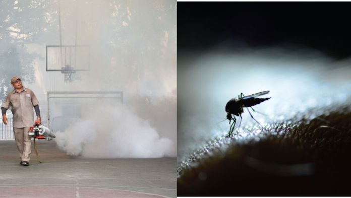 Suman más 117 mil casos de dengue en el país
