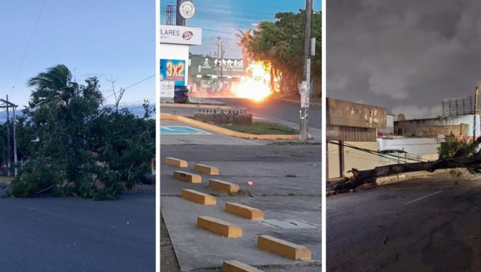 Frente frio 14 deja árboles, anuncios caídos y el desamarre de un barco en la entidad