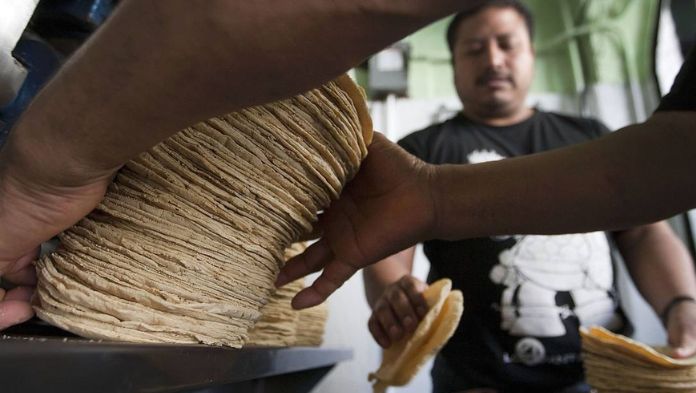 Consejo Nacional de la Tortilla rompe diálogo con Agricultura
