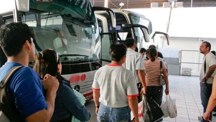 Vacaciones de Navidad 2024: Estos son los estudiantes que accederán a descuentos en autobuses