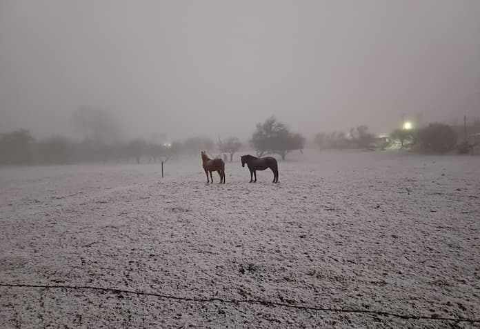 FF24 deja lluvia engelante y cencellada en Las Vigas y Chiconquiaco