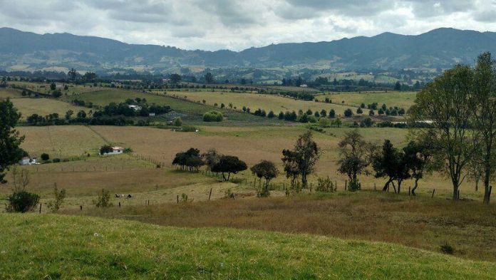 Cabañuelas, tradición popular que refleja una conexión cultural con la naturaleza