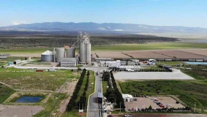 Gobierno de Cuitláhuac mintió, nunca clausuró a Granjas Carroll
