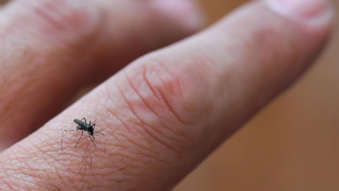 Incrementan casos de dengue en Veracruz