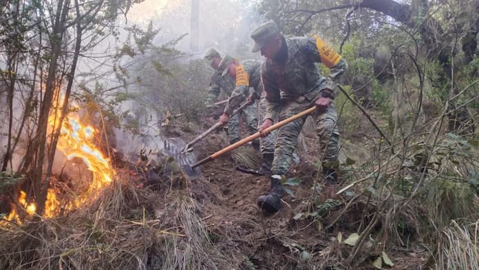 Aplica Plan DN-III-E, en incendio forestal en Ejido Villa de Perote, sin lesionados