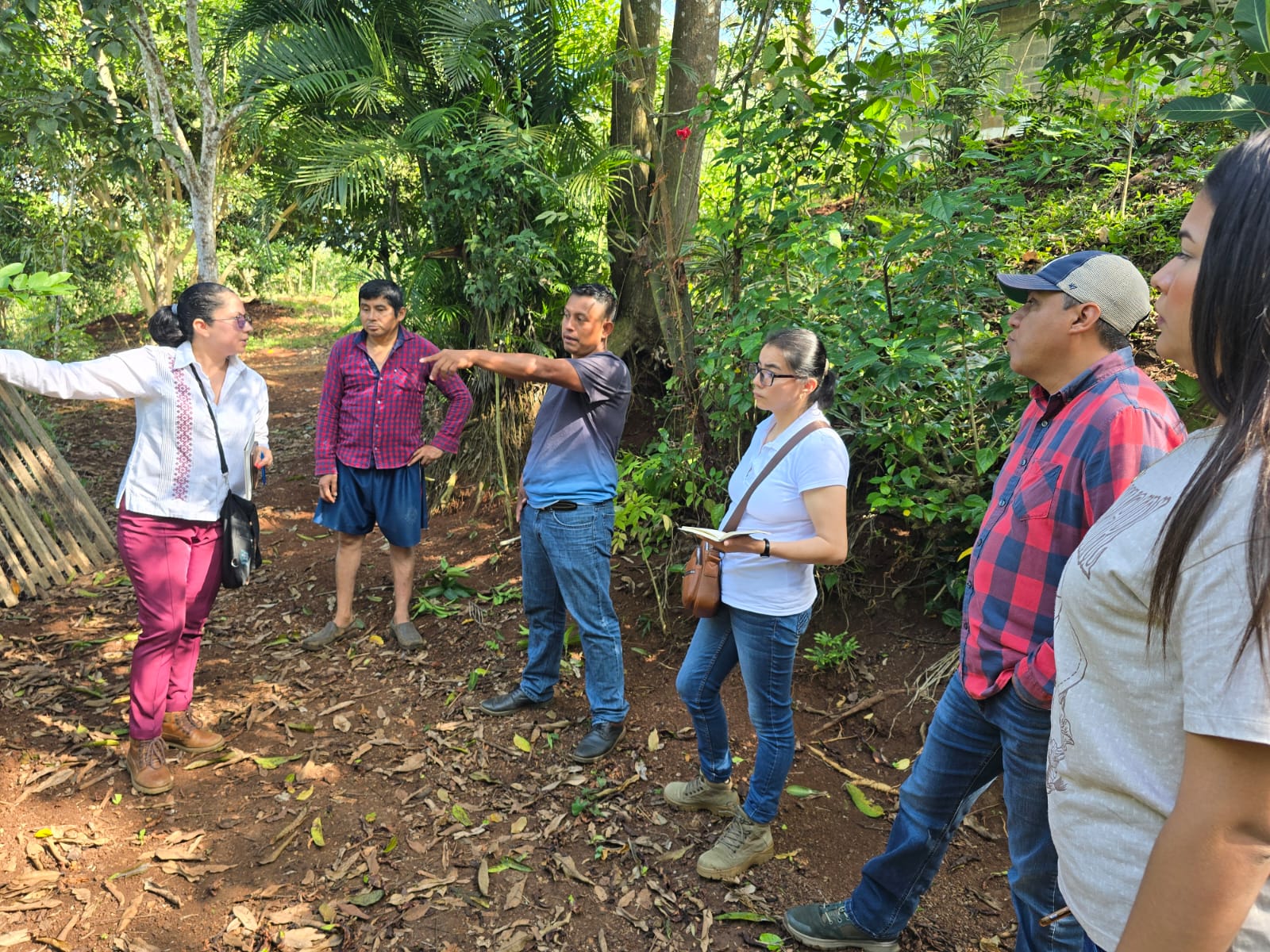 Evalúan viabilidad de iniciativas de energía limpia en La candelaria en Catemaco