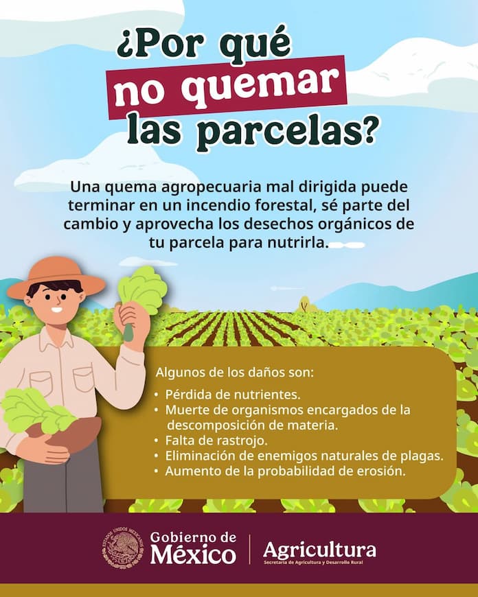 Promueven gobierno de Catemaco prácticas alternativas al uso del fuego en campos