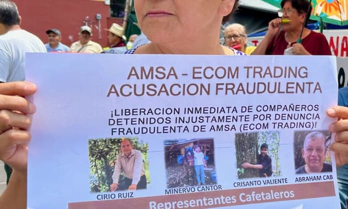 Absuelven a cafetaleros veracruzanos acusados por empresa AMSA