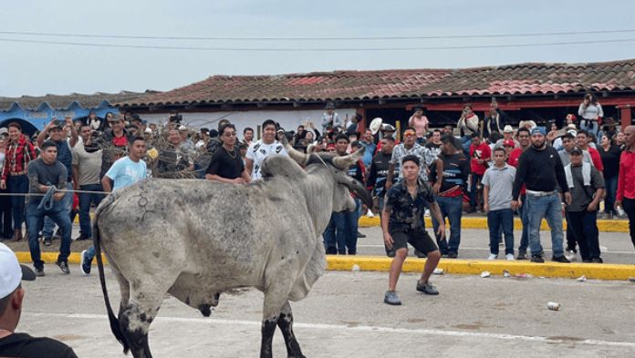 Suelta de toros por fiestas de la Candelaria en Tlacotalpan deja varios heridos