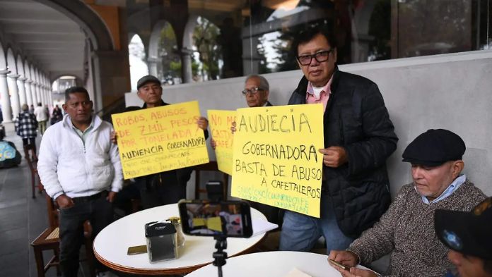 Cafetaleros piden a Rocío Nahle intervenir ante empresas para mejorar el precio del café
