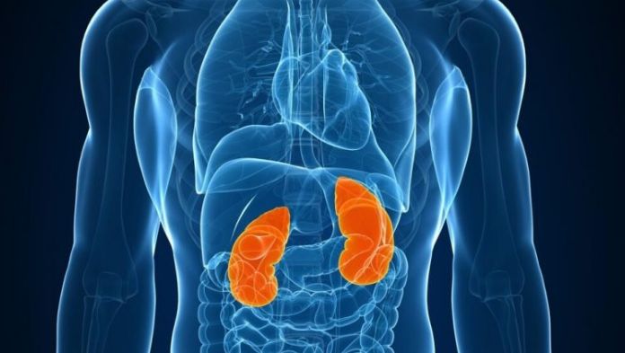 Alertan por aumento de enfermedad renal; urgen medidas preventivas