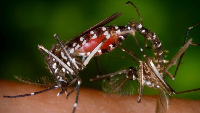 Emiten alerta epidemiológica por aumento de dengue por serotipo DENV-3