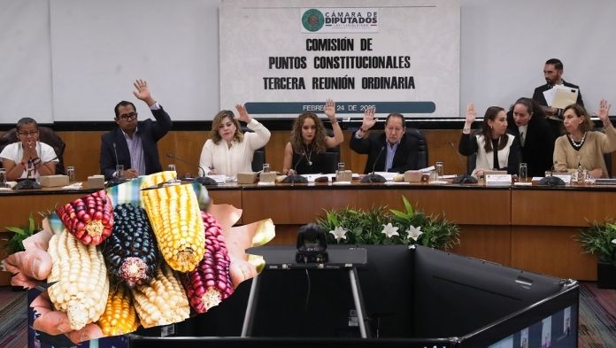 Diputados aprueban en Comisión Iniciativa contra el maíz transgénico