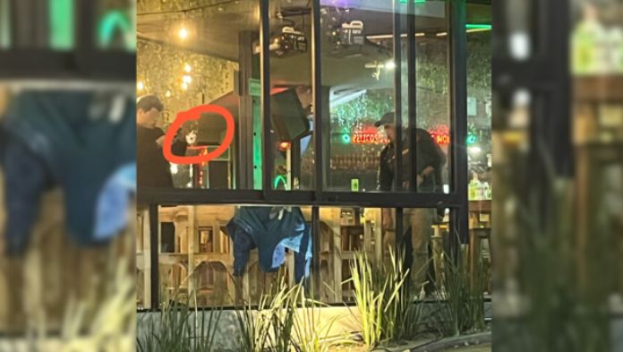 Otra vez, balean bar Los Wichis en Xalapa