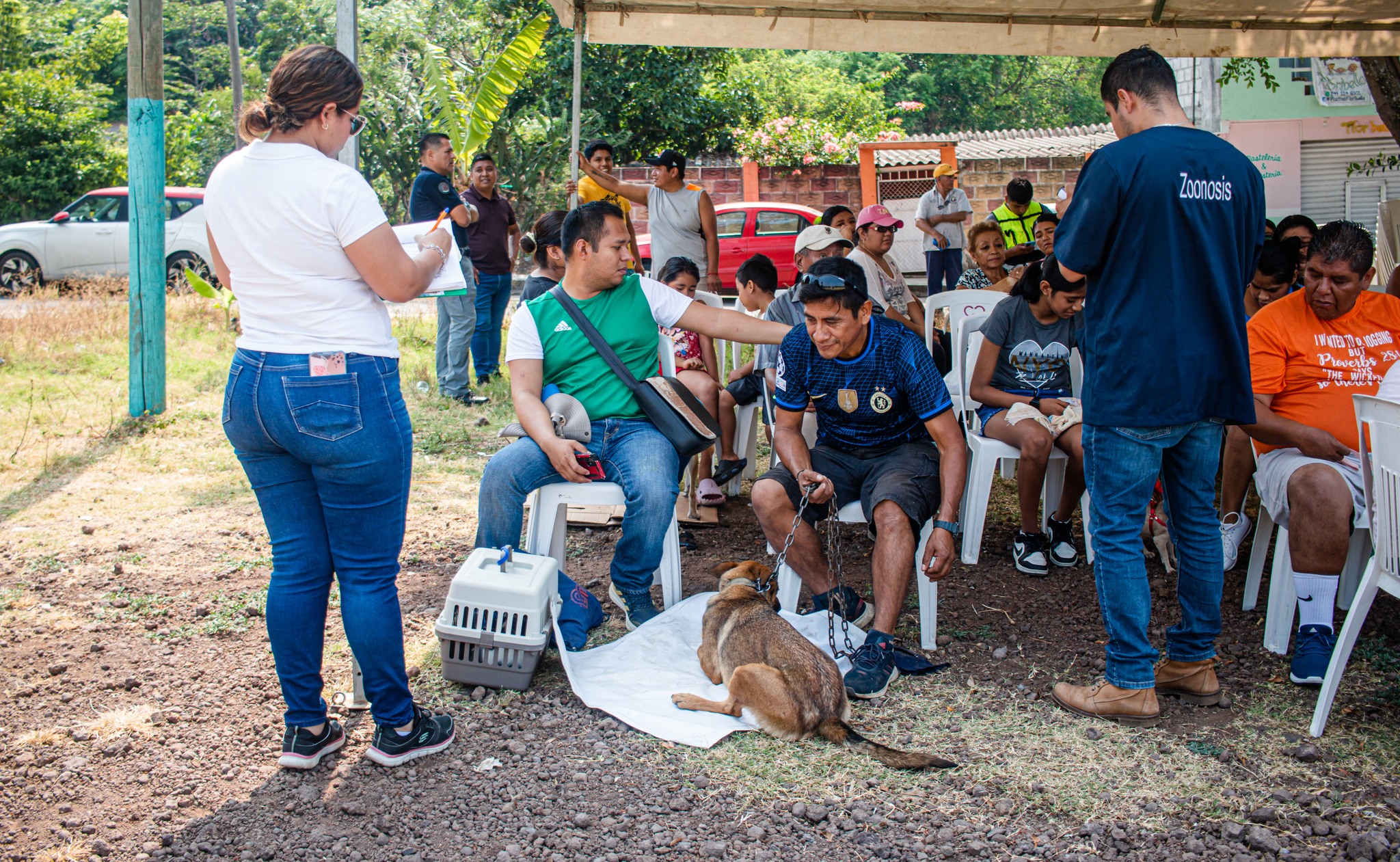 Ayuntamiento y SESVER realizaron Mega Campaña de Esterilización canina y felina en San Andrés Tuxtla