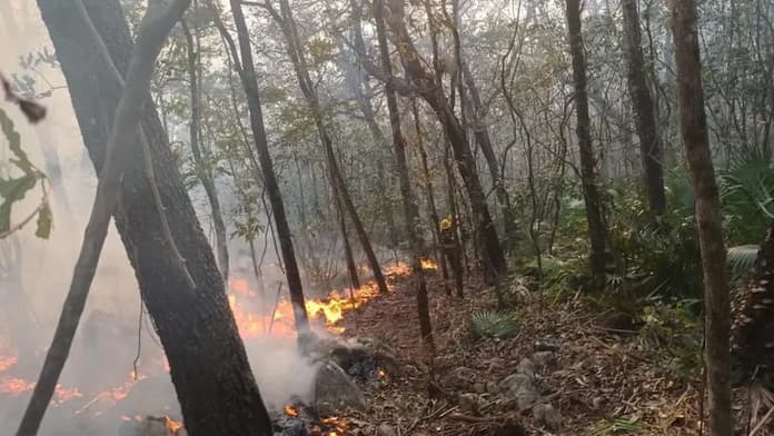 Se registran 114 incendios activos en México; afectan más de 39 mil hectáreas