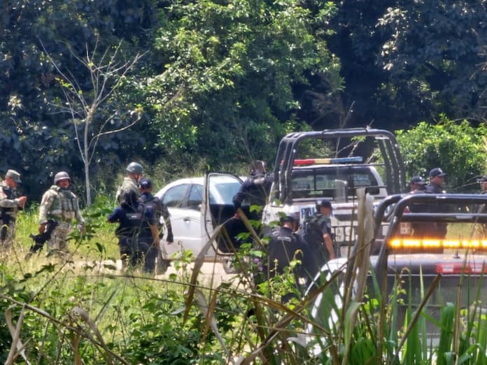 Policías atacados por abejas en una persecución en El Cañizo, Martínez de la Torre