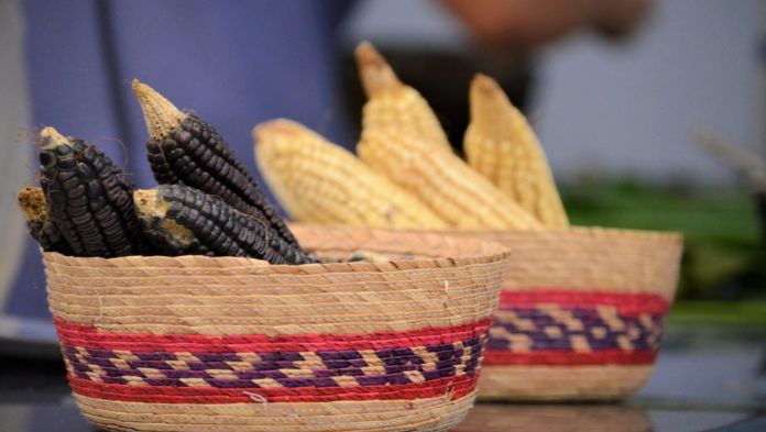 México anuncia más de 83 mil mdp para alcanzar la soberanía alimentaria