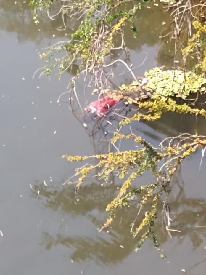 Hallan a cuerpo en río San Juan de Hueyapan de Ocampo