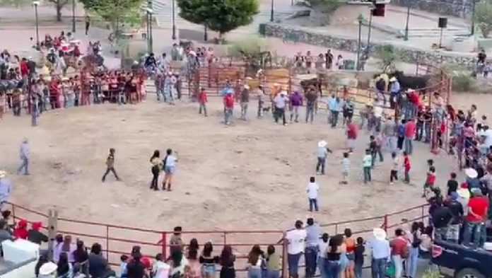 Crueldad animal: en un rodeo, gatos fueron atados con fuegos artificiales para entretenimiento del público