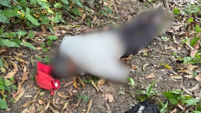 Encuentran a abuelito de 80 años sin vida en San Andrés Tuxtla