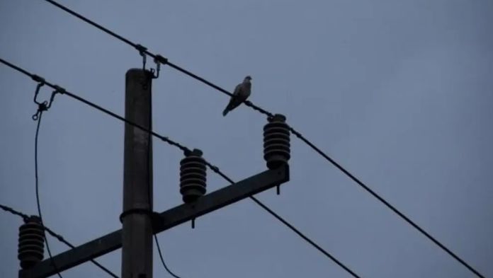 Lluvias dejaron sin luz por más de 24 horas miles de personas en Tabasco