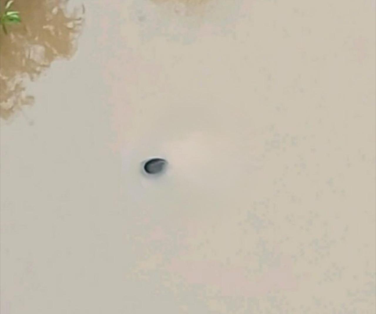 Encuentran a joven pescador ahog4d0 en Hueyapan de Ocampo