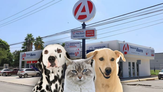 Farmacias del Ahorro anuncia clínicas veterinarias