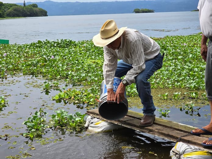 Tercera liberación de alevines en el lago de Catemaco fortalece al sector pesquero