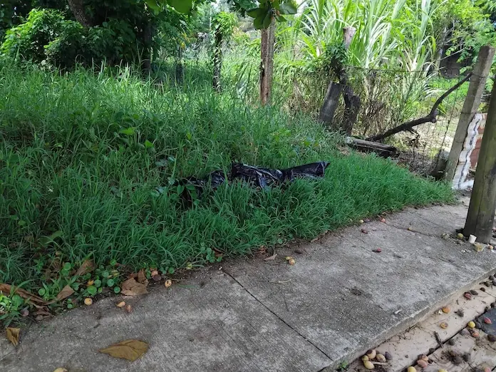 Hallan restos humanos en bolsas de plástico en Coatzacoalcos